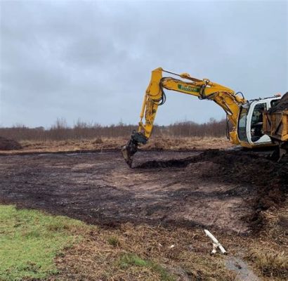 De Plaggen van 1349: een rampzalige pandemie die de sociale en economische structuur van de Filipijnen grondig veranderde